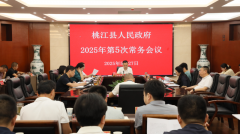议研究了2025年度湖南省竹财产高质量成长县项目
